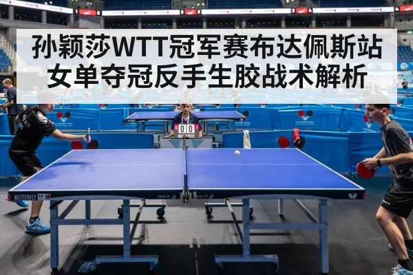 孙颖莎WTT冠军赛布达佩斯站女单夺冠反手生胶战术解析 | Yabo
